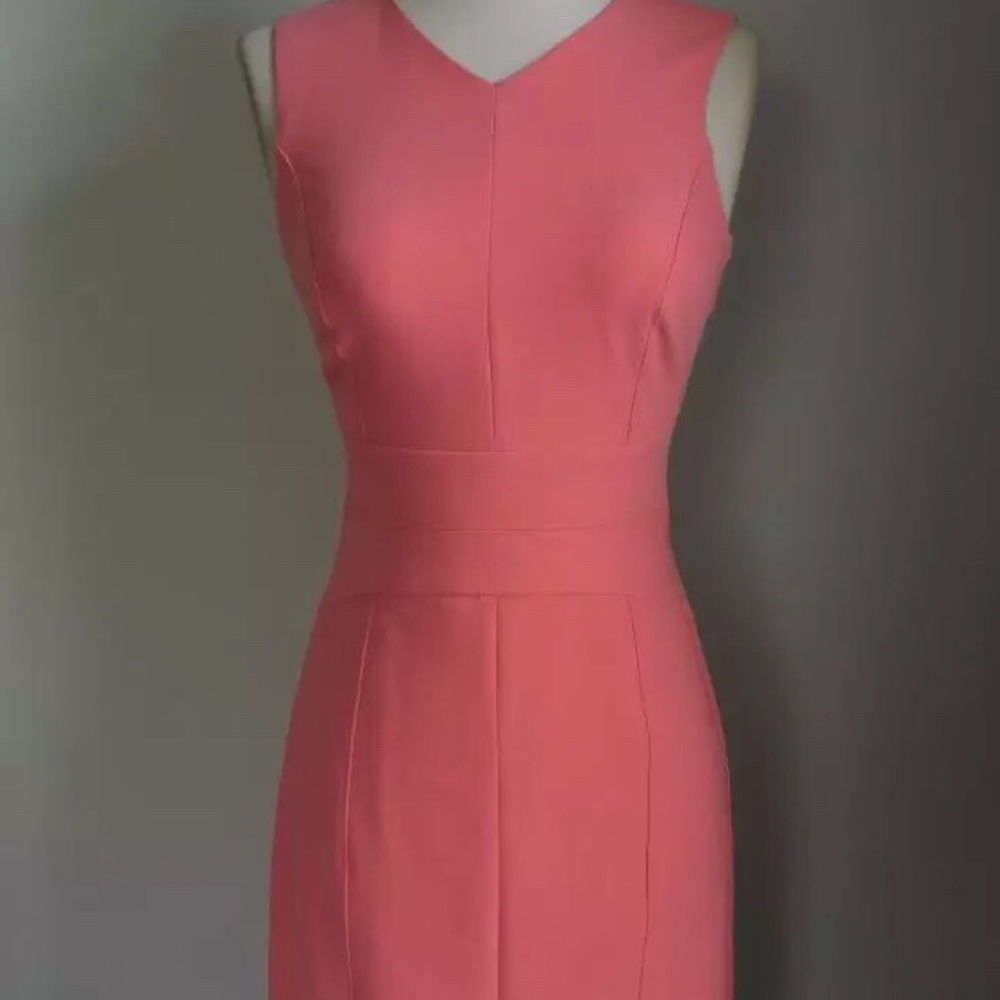 White House Black Market Sheath Dress Gelato sz2